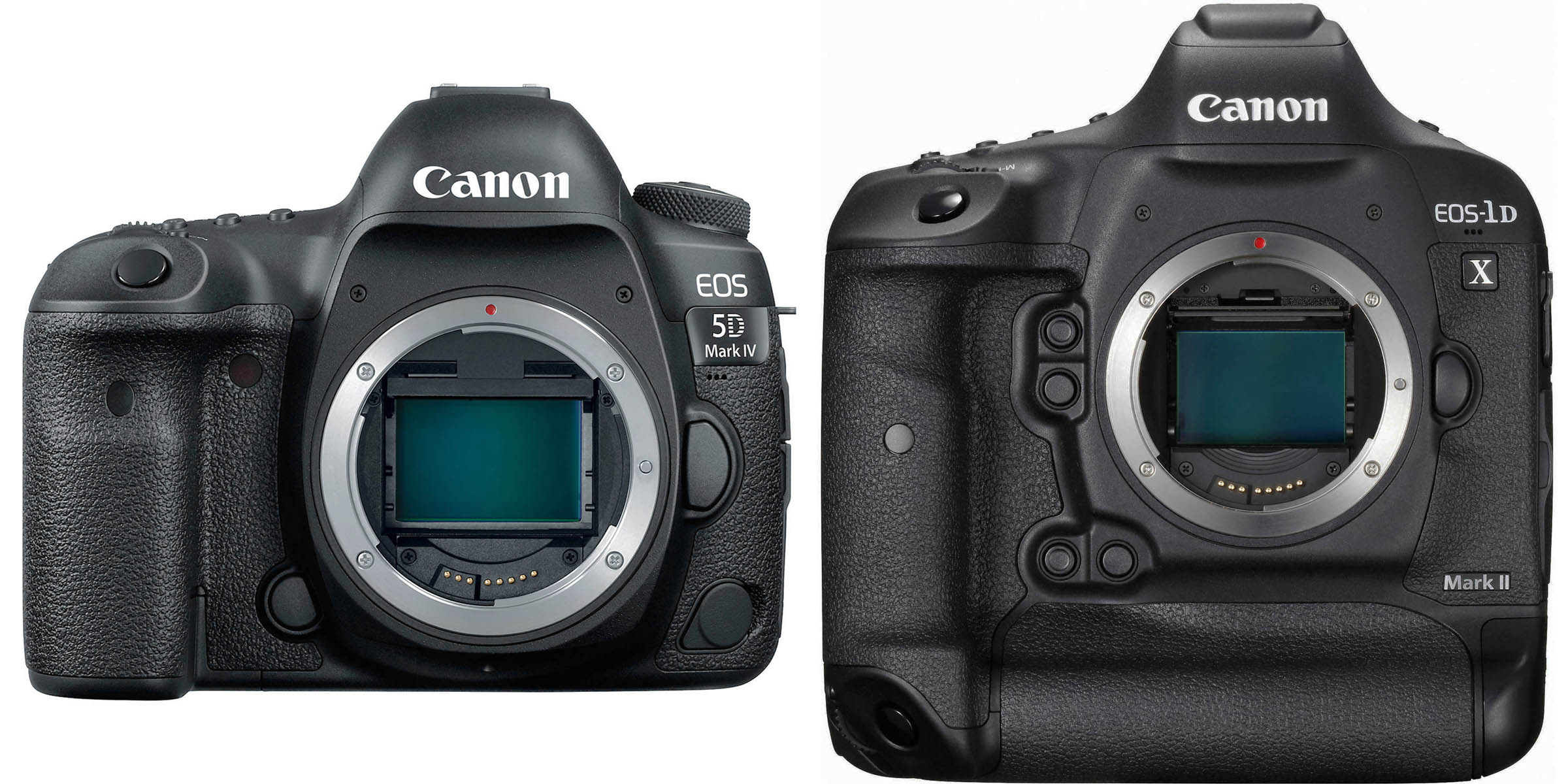 EOS 5D4-1DX2