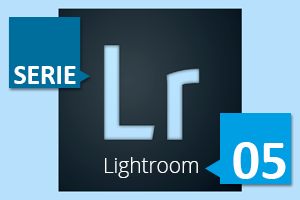 LR05.png