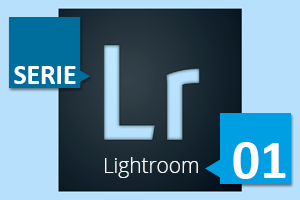 LR01.png