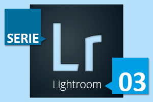 LR03.png