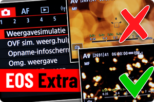 00_weergavesimulatie.png