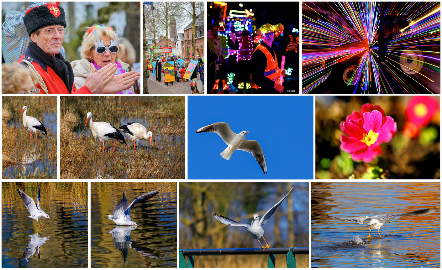 Portfolio EOS R5 mark II