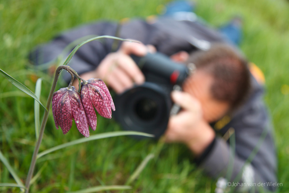 natuurfotografieNL_credit_Johan van der Wielen