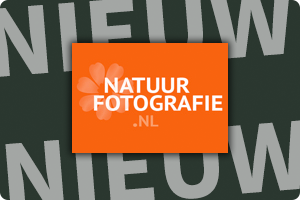 natuurfotografieNL-logo.png