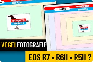 00_r7r6iir5ii.png