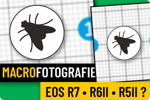 00_macro r7r6iir5ii.png