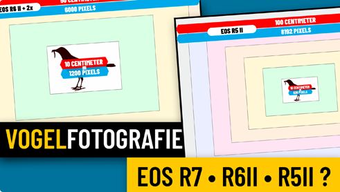 APS-C of Full frame...
