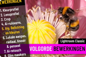 00_LrC Volgorde bewerkingen.png