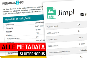 00_metatdata.png