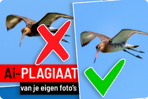 Firefly 4 | Ai-plagiaat van eigen foto