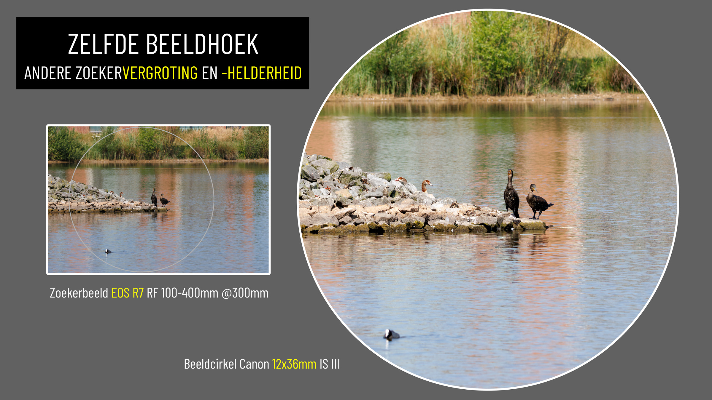 zoeker eos r7 en 12x36