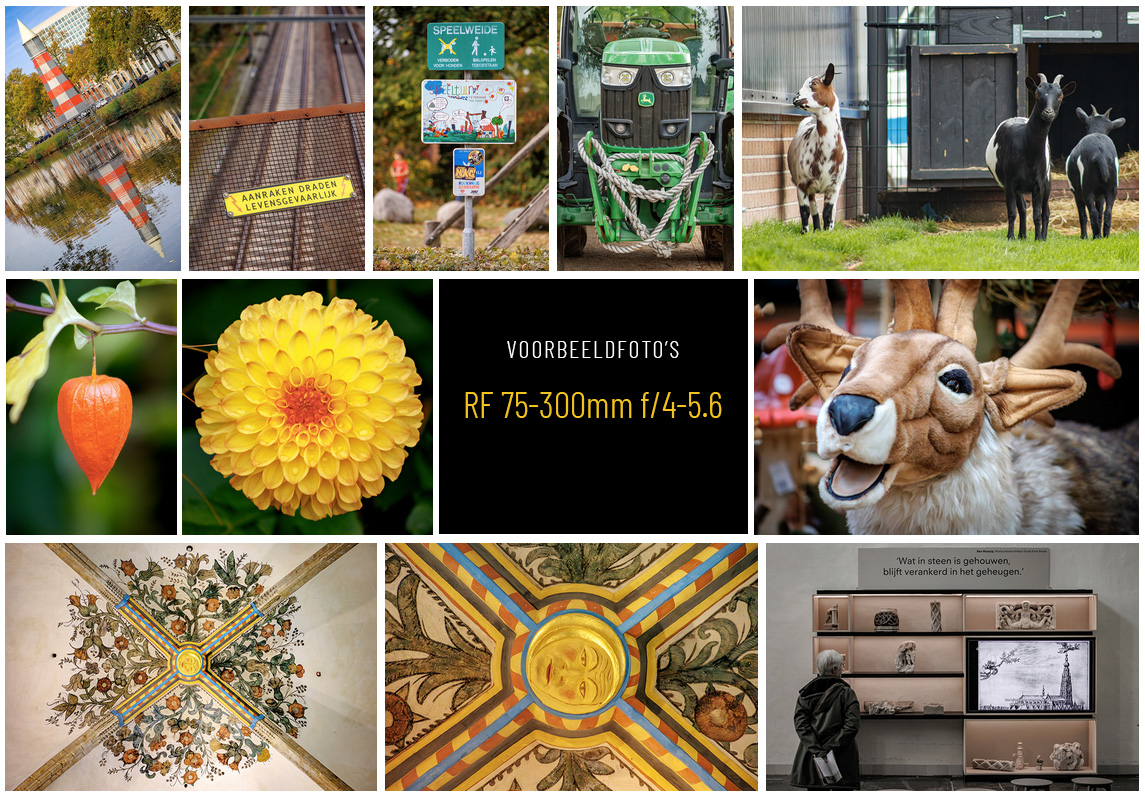 voorbeeldfoto's RF 75-300mm