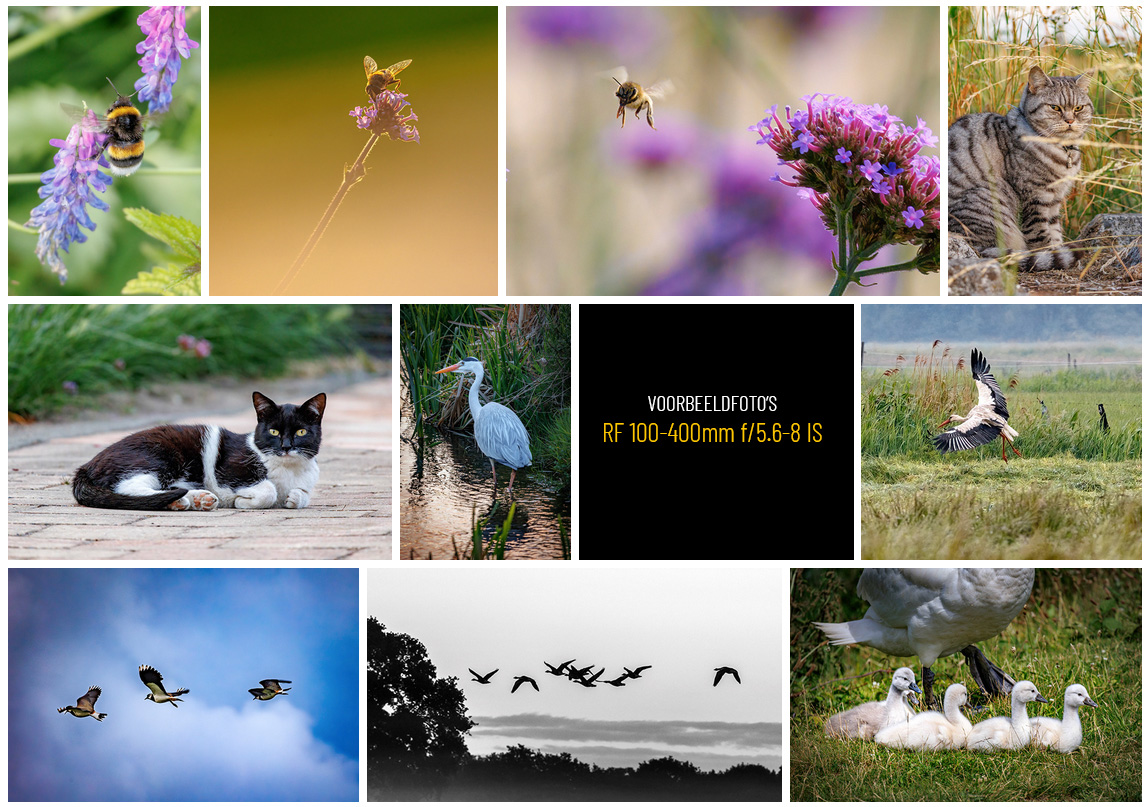 voorbeeldfoto's RF 100-400mm