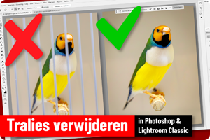 00_PS LrC Tralies verwijderen.png