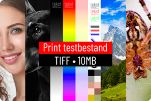 00_Print testbestand.png