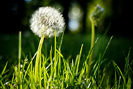 IMG_9790-189px
