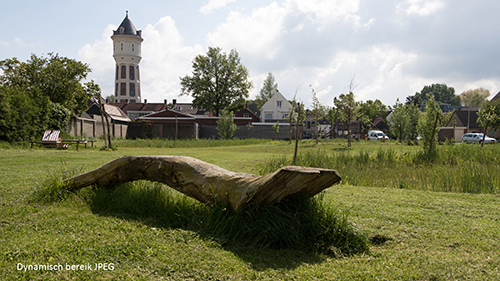 IMG_9748-2-285px