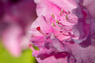 IMG_9755-189px