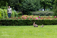 5DS_0001-crop-16x-189px