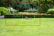 5DS_0001-no-crop-189px