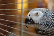 5DS_9970-189px