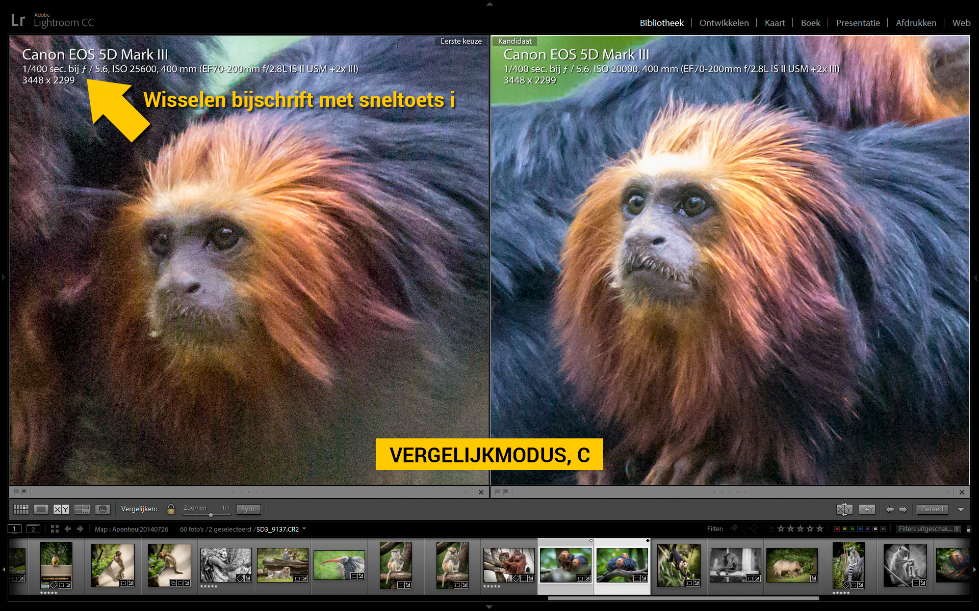 LR03_02-compare