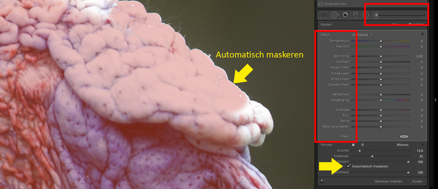 05_aanpassingspenseel