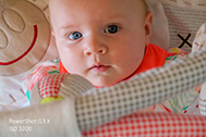 IMG_0067-189px