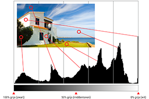 00_histogram.png