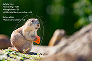 5D3_9564-3-189px
