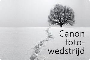 00_canon-fotowedstrijd.png
