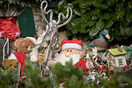 IMG_0095-189px