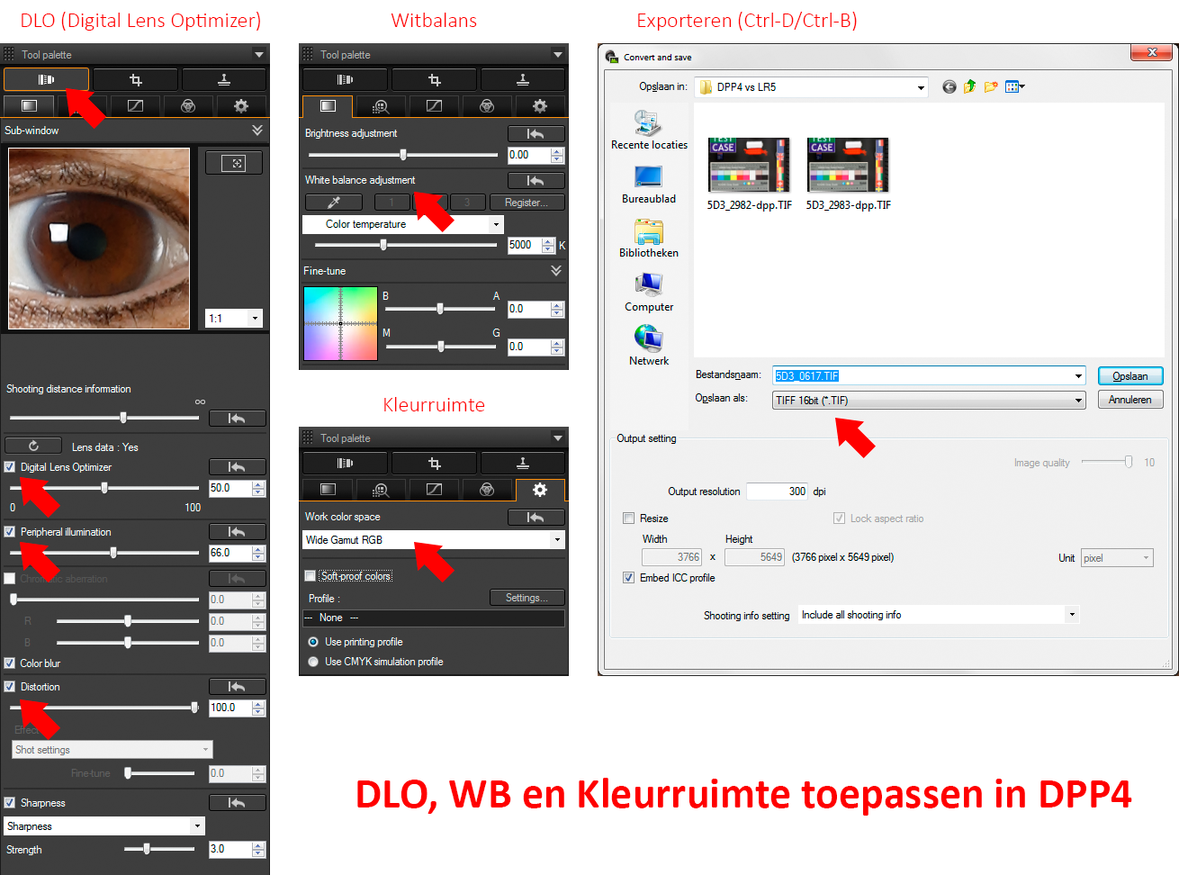 DPP4-export