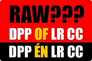 00_dpp-lrcc.png