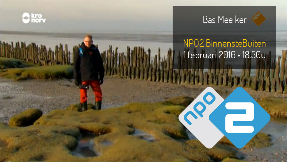 NPO2-Bas