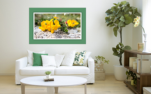 Xpozer_creatief05a-285px