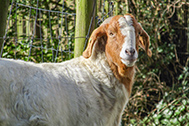 voorbeeld01-IMG_0045-189px