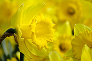 02-IMG_0187-189px