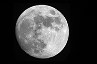 03_IMG_0148-189px