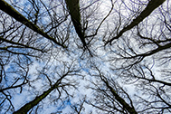 05-IMG_0164-189px