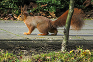 06_IMG_0172-189px