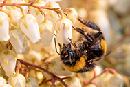 04-IMG_8643-189px