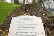 IMG_8763-189px