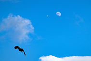 IMG_8931-189px