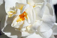 01_IMG_8895-189px