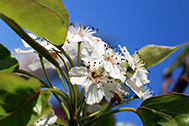 04_IMG_8908-189px