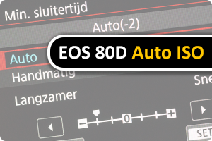 00_auto-iso.png